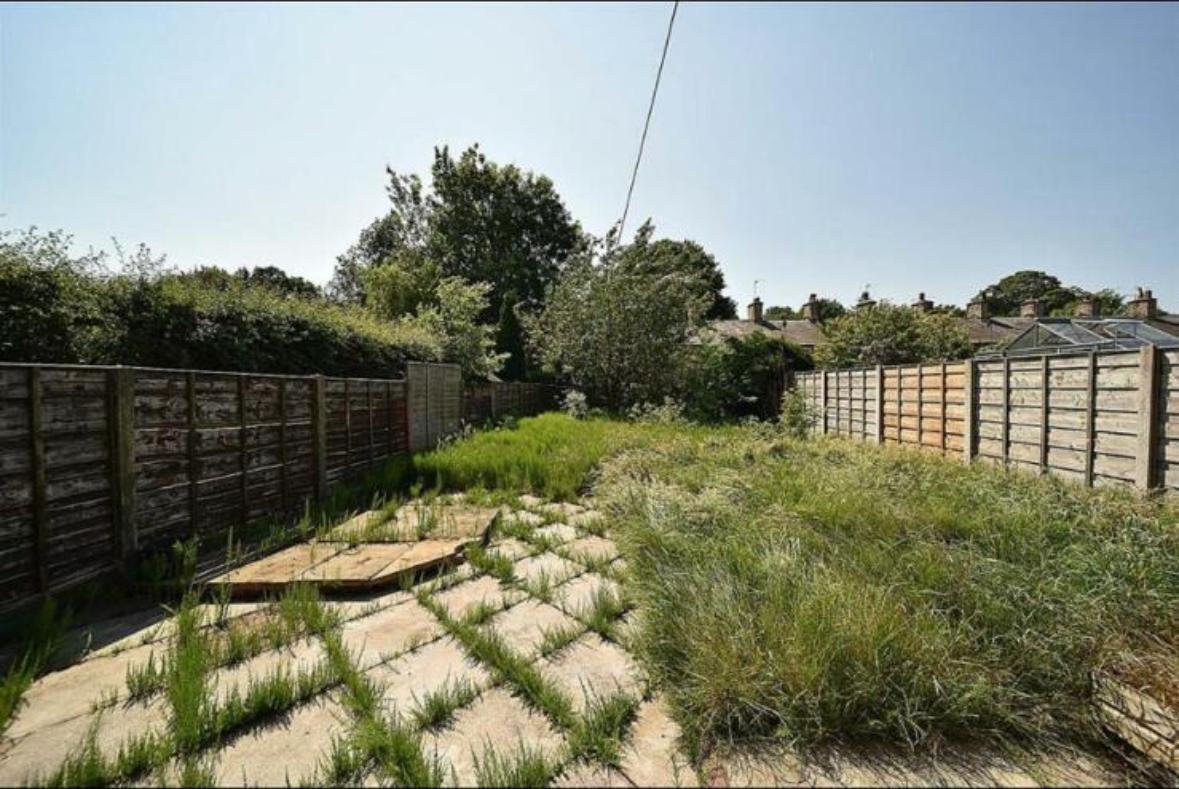 Overgrown, unused garden before landscaping
